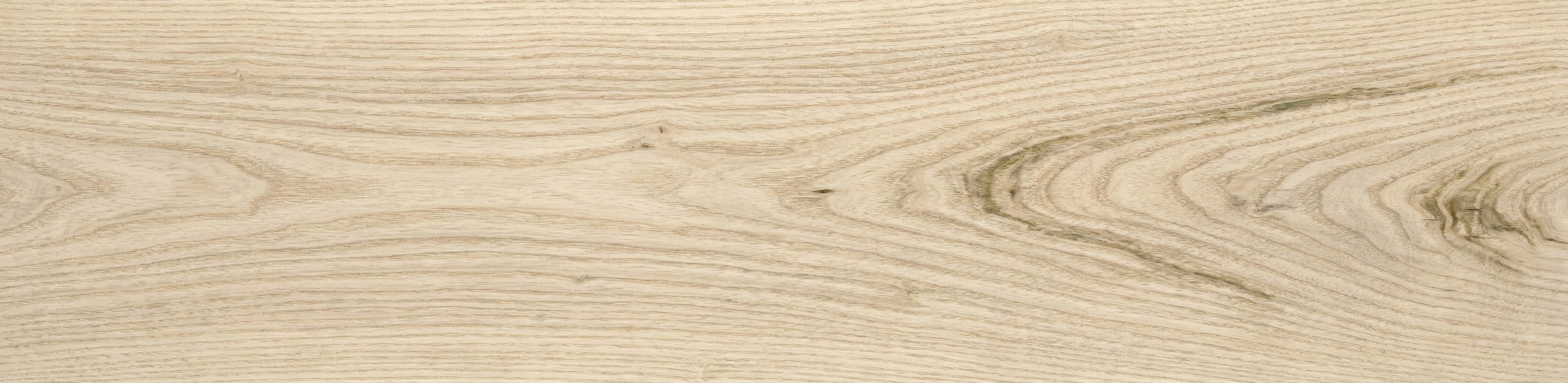 Ash wood grain panorama