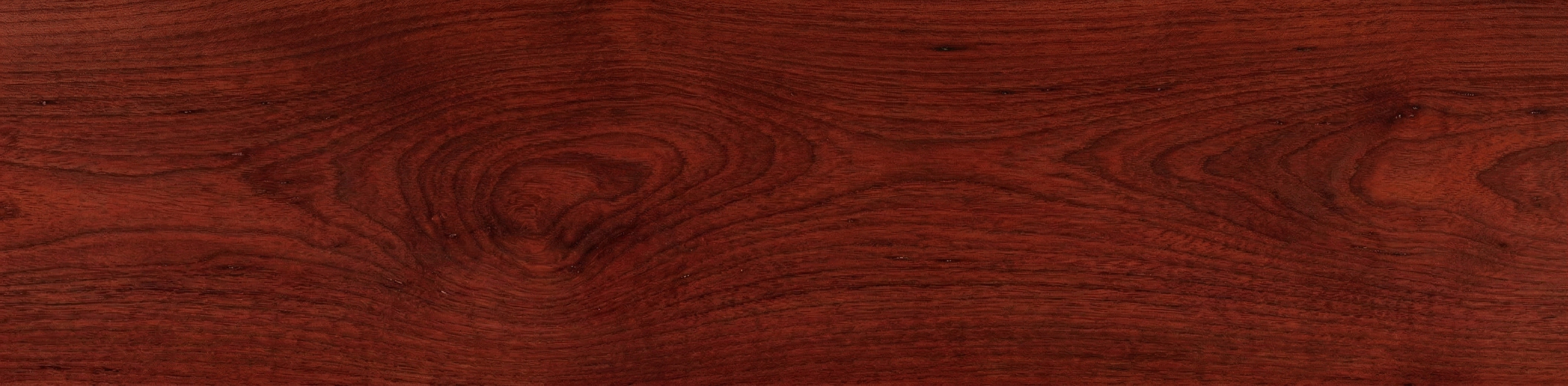 Jatoba wood grain panorama