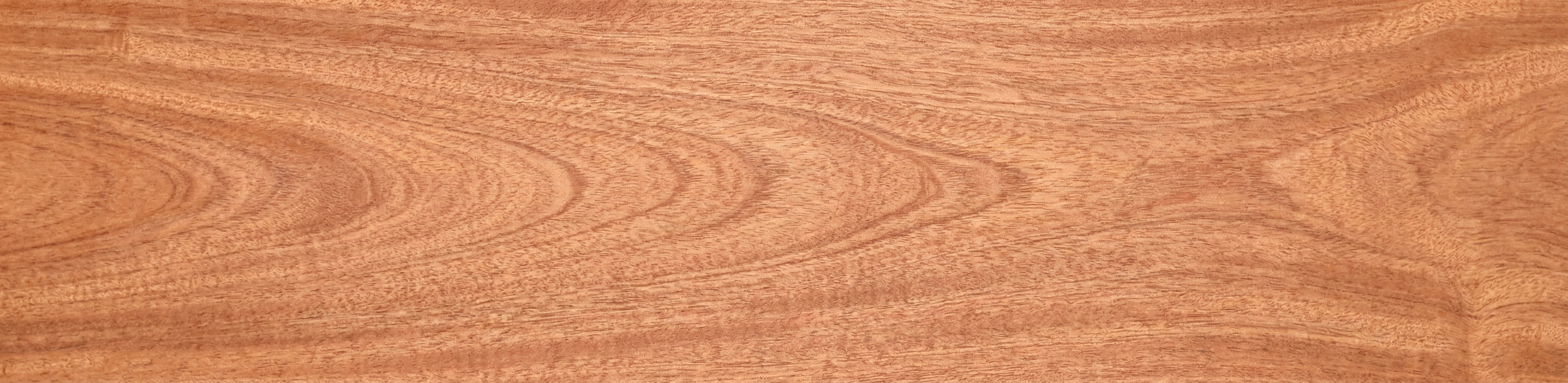 Khaya Mahogany wood grain panorama