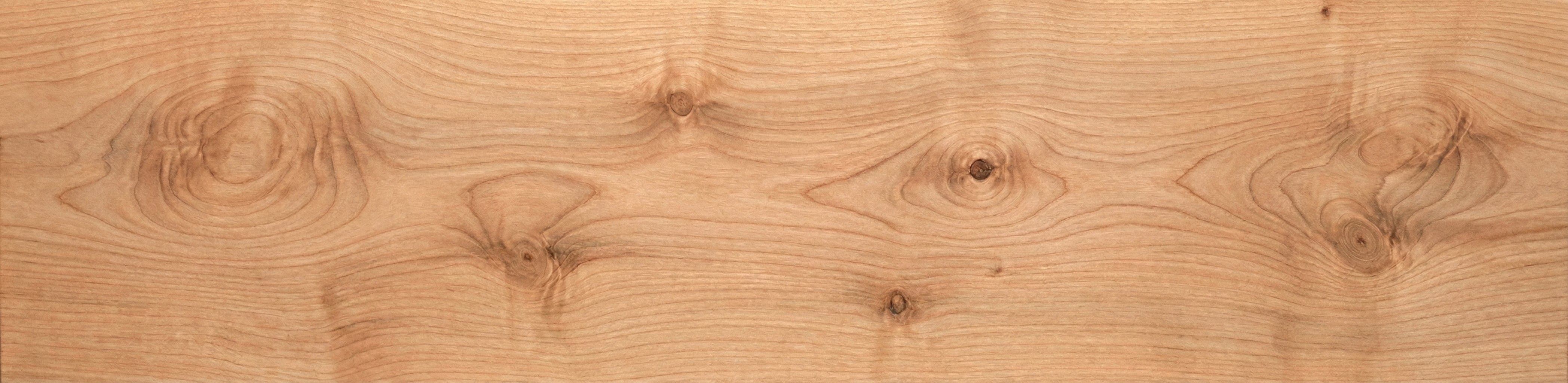 Rustic Alder wood grain panorama