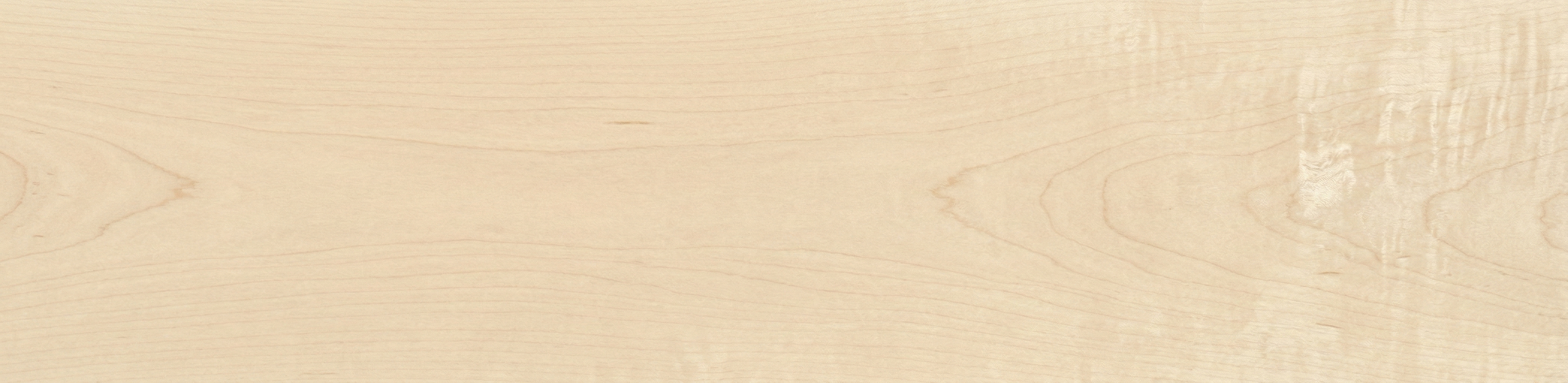 Soft Maple wood grain panorama