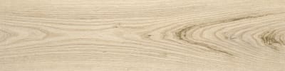Ash wood grain panorama
