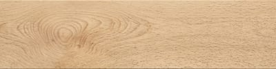 Beech wood grain panorama
