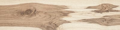 Hickory wood grain panorama