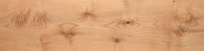 Rustic Alder wood grain panorama